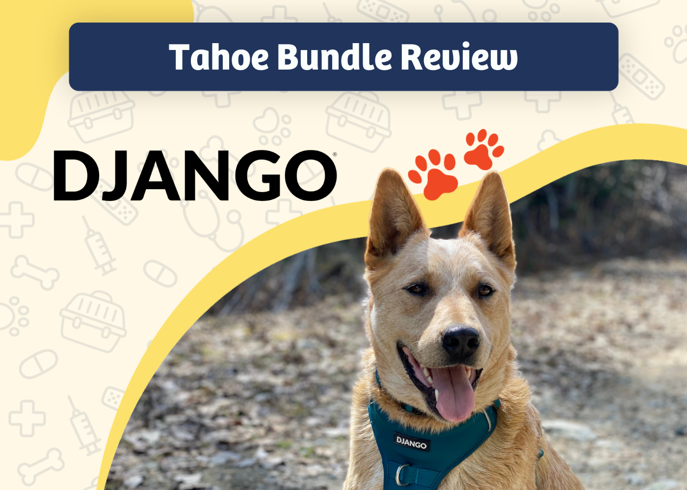 „Django Tahoe“ diržų, pavadėlio ir apykaklės paketo apžvalga 2025: stilingas, saugus ir paruoštas nuotykių paruoštas