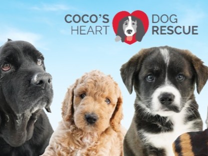 Coco’s Heart Dog Rescue – Dogster